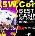 556Bet